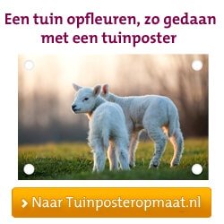 Vaderdag tuinposter