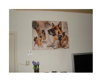 Klantreactie hond op canvas