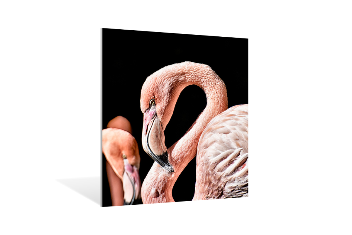 Foto op squares