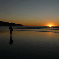 Natuurfoto strand op canvas