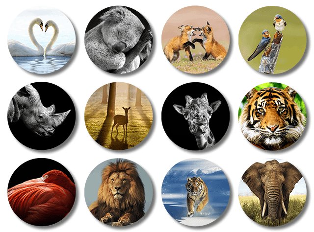 Ronde onderzetters met dieren