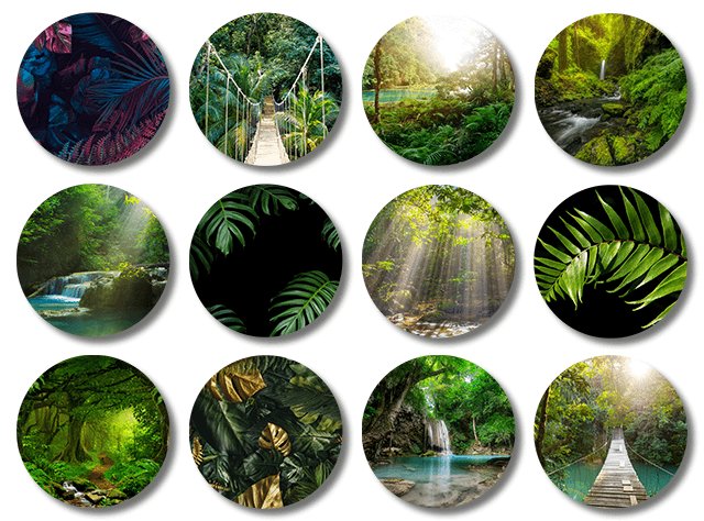 Ronde onderzetters jungle