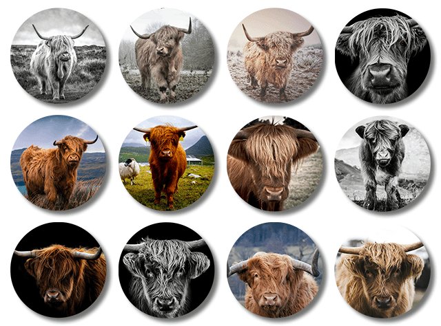 Ronde onderzetters met Schotse hooglanders