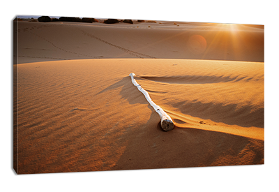 Woestijn canvasprint