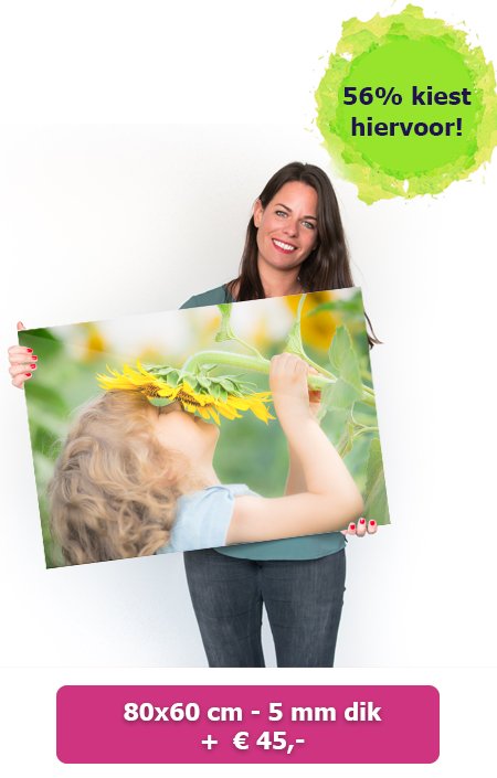 Foto op glas 80x60