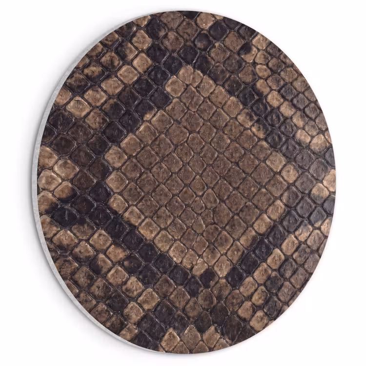 Akoestisch schilderij rond - Python - Schubben - Brons — 1