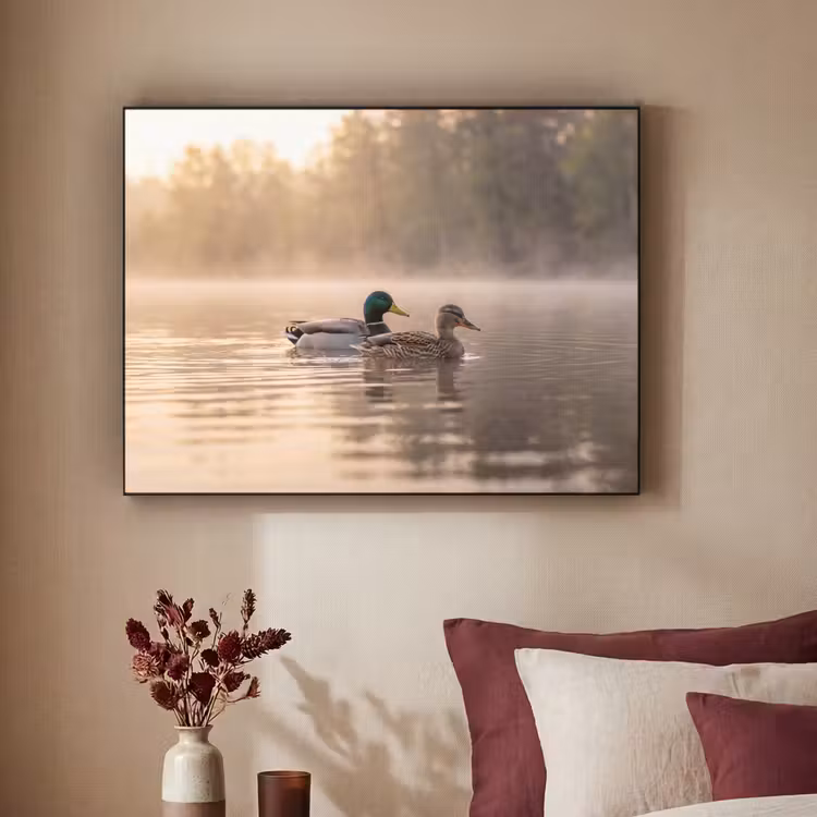 Art Frame - Eenden - Water - Mist - Natuur — 2