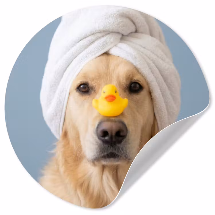 Behangcirkel - Hond - Badeend - Geel — 1