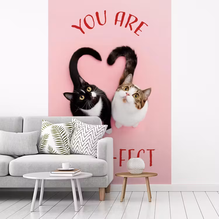 Behang - Kat - Hart - Tekst - Valentijn — 1