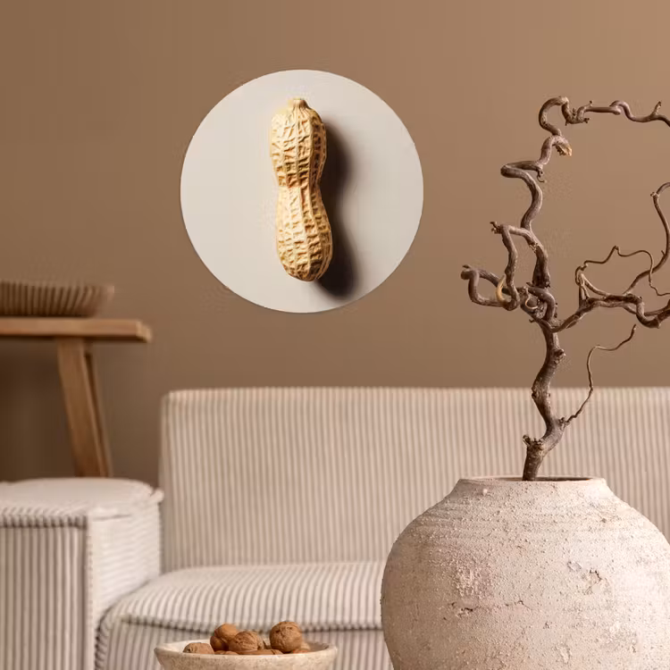 Behangcirkel - Pinda - Ruw - Beige — 2