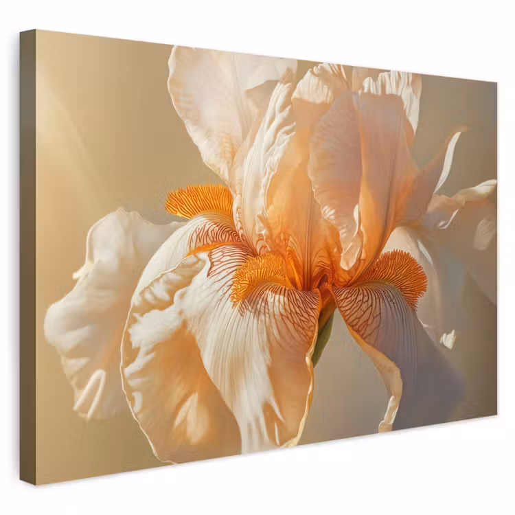 Buiten canvas - Close up - Oranje - Iris — 1