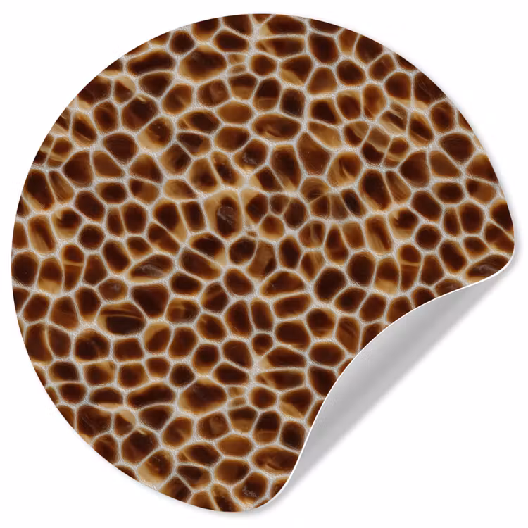 Behangcirkel - Schildpad - Bruin - Patroon — 1