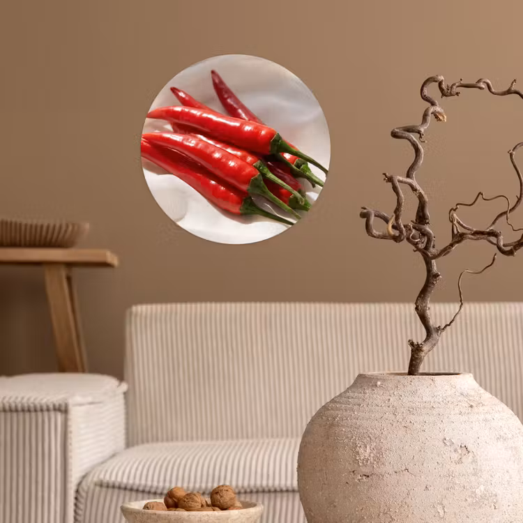 Behangcirkel - Peper - Rood - Eten — 2