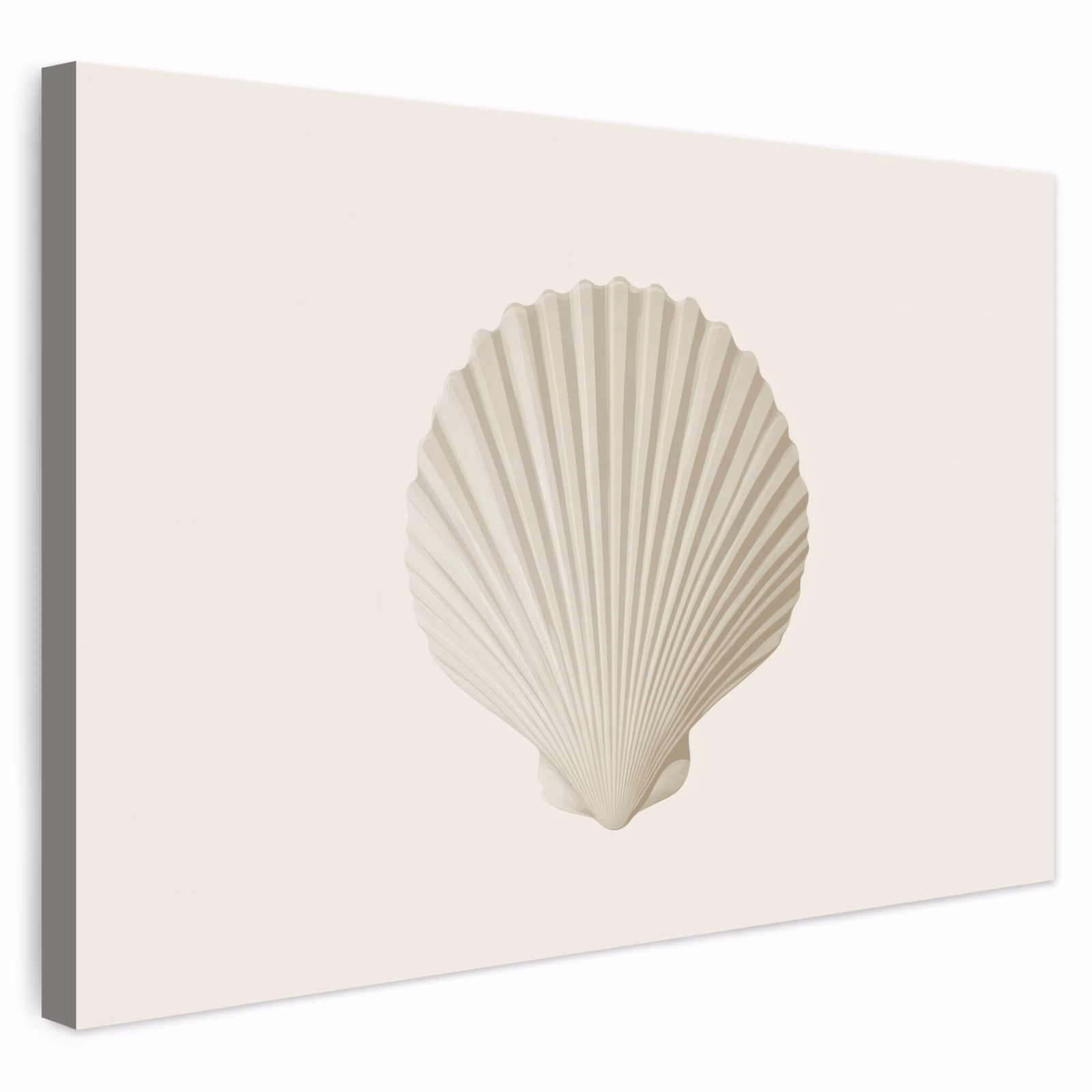 Buiten canvas - Schelp - Minimalistisch - Wit — 1