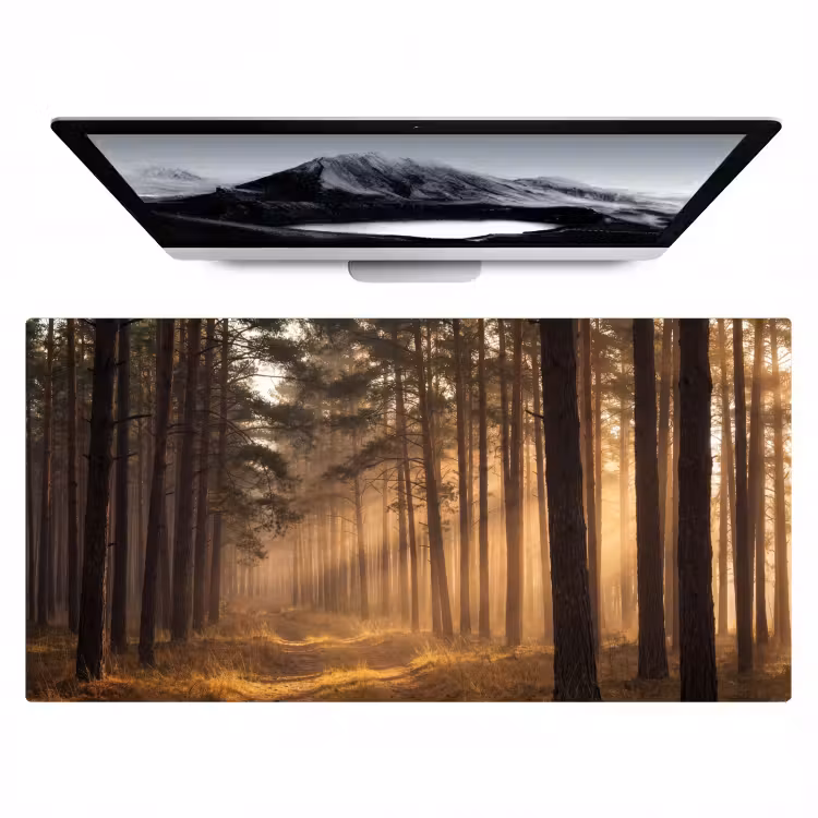 Bureau onderlegger - Bos - Mist - Zonlicht — 1