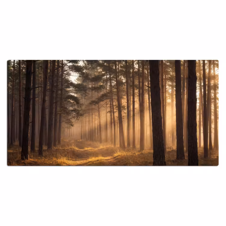Bureau onderlegger - Bos - Mist - Zonlicht — 2