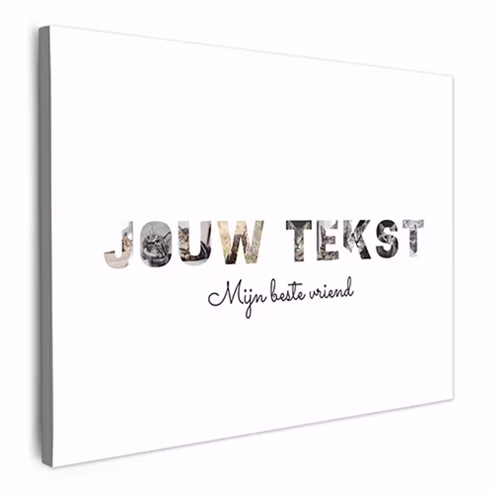 Canvas - Eigen tekst — 1