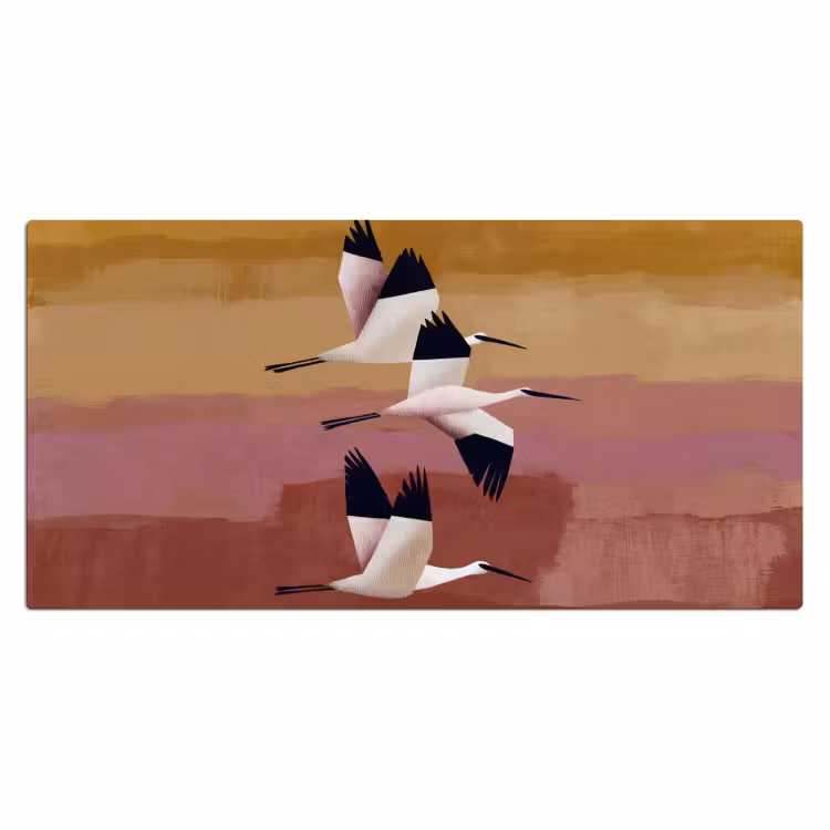 Bureau onderlegger - Vogels - Snavel - Abstract — 2