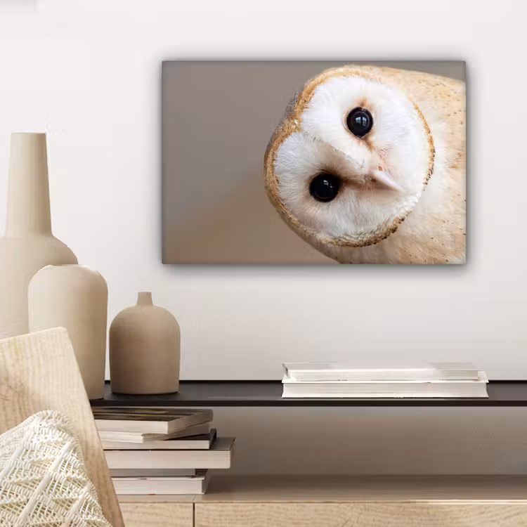 Canvas schilderij - Uil - Bruin - Wit — 4