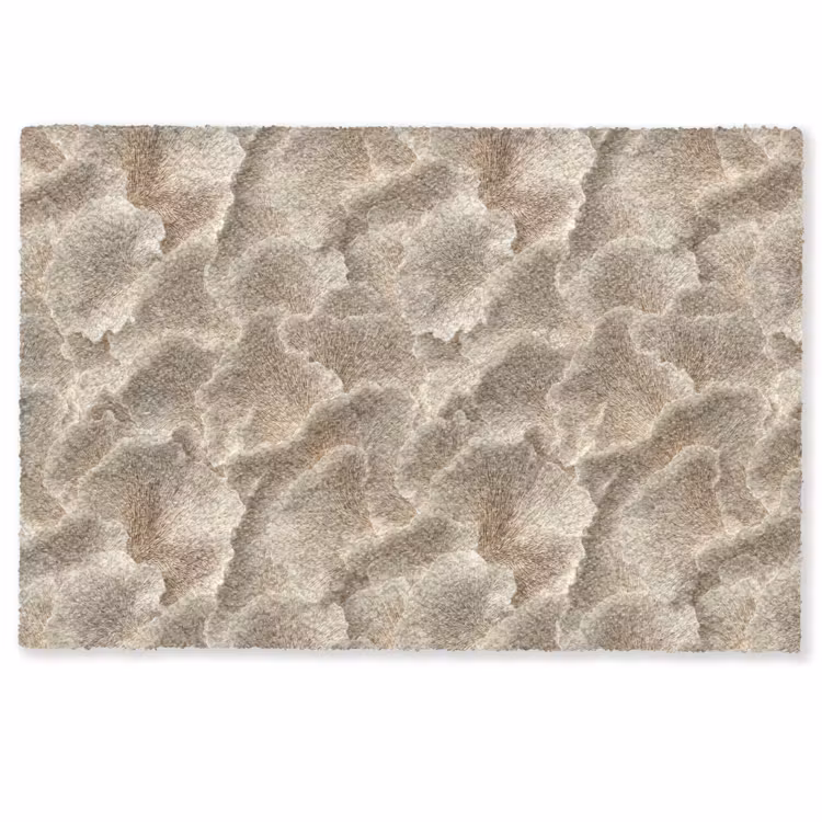Deurmat - Waaierstructuren - Beige - Vezeltextuur — 1