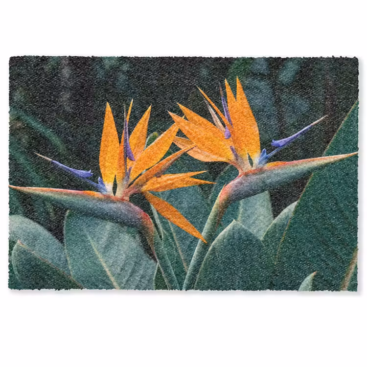 Deurmat - Paradijsvogel - Bloem - Exotisch — 1
