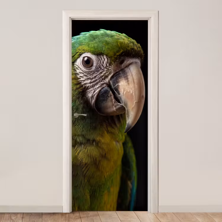 Deursticker - Ara - Portret - Groen — 1