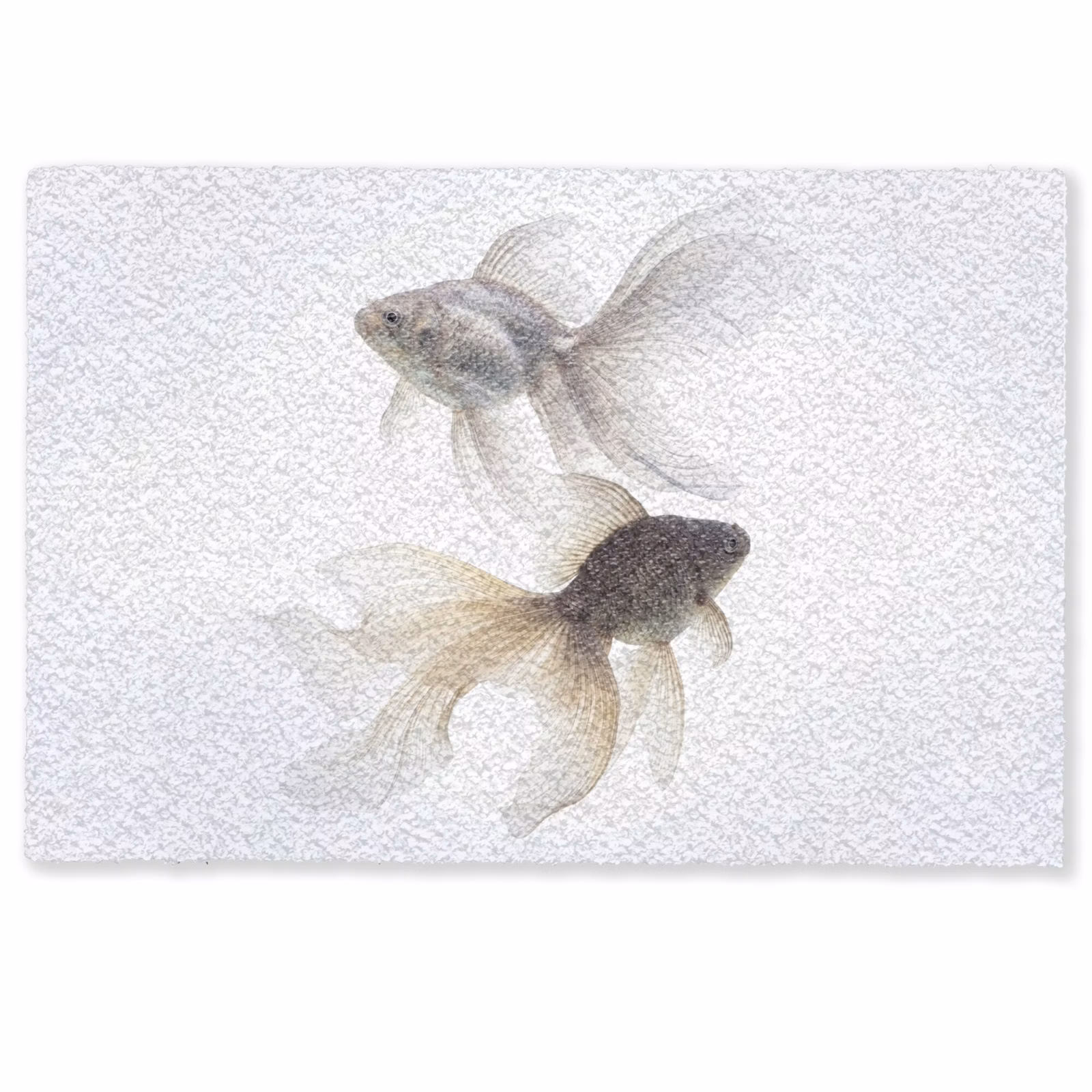 Deurmat - Goudvissen - Modern - Wit — 1
