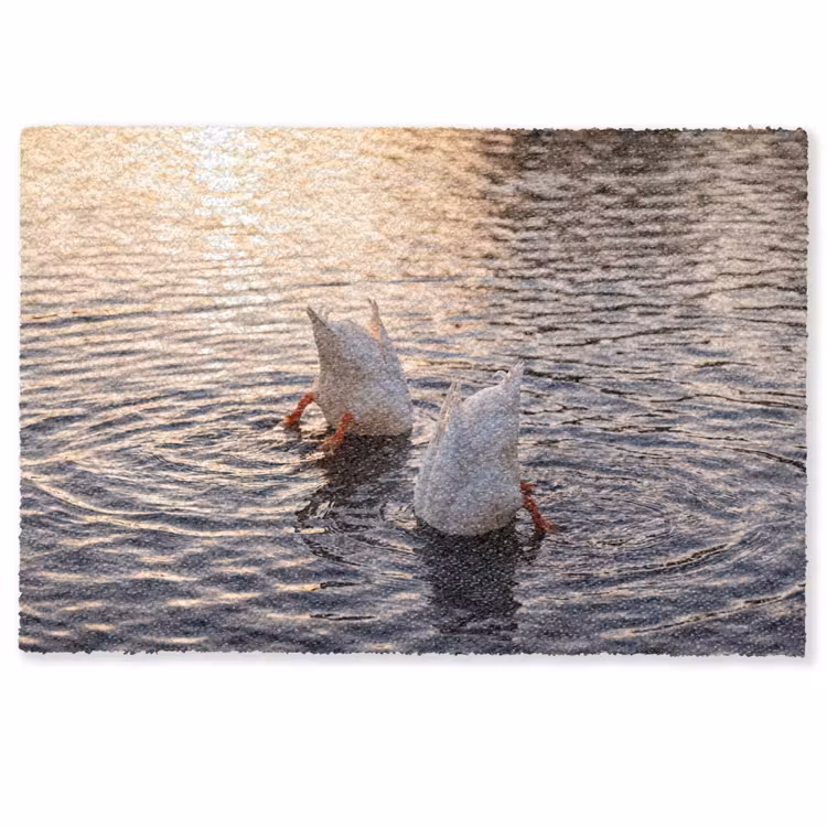 Deurmat - Eenden - Water - Natuur — 1