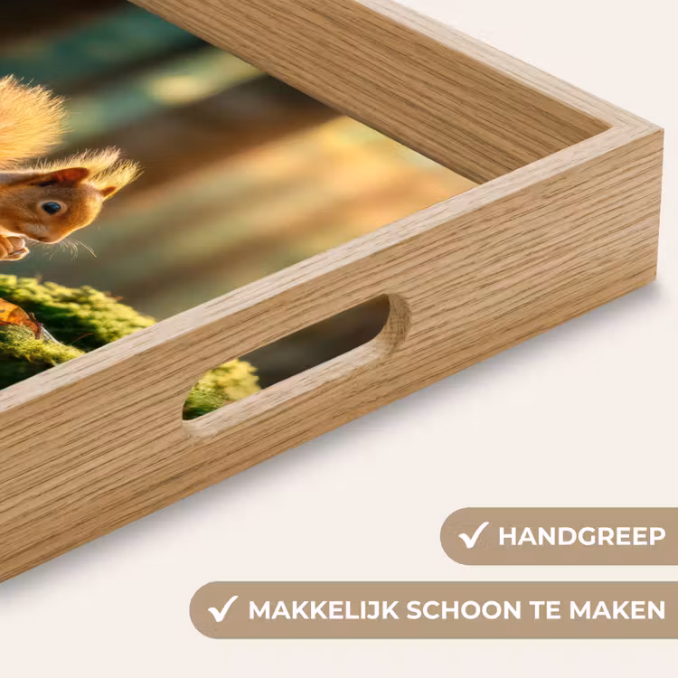 Dienblad - Eekhoorn - Nootje - Gras — 8