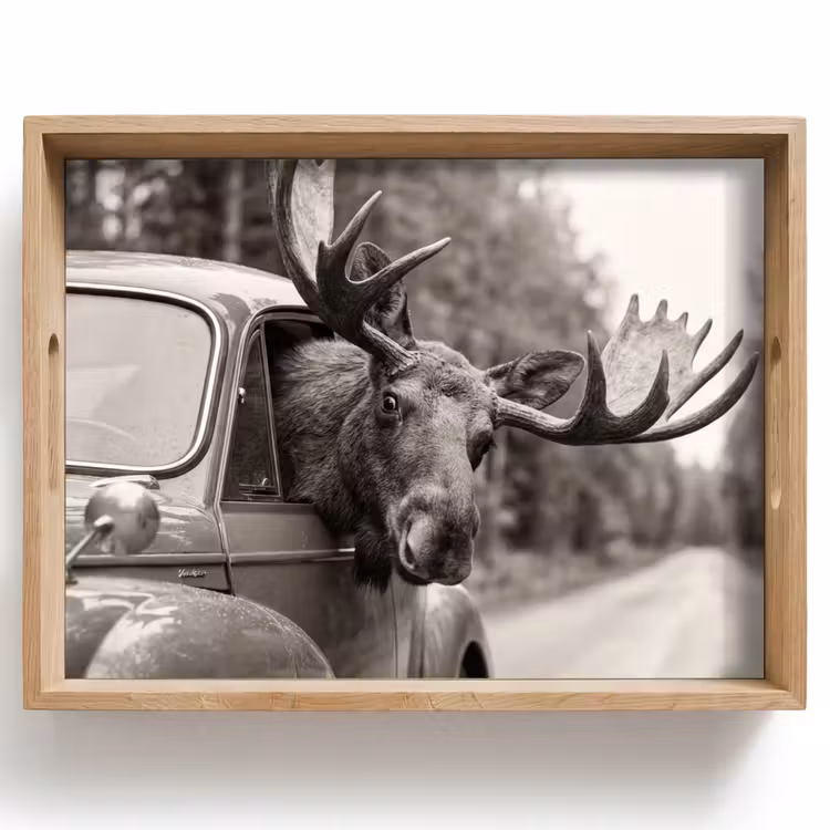 Dienblad - Eland - Auto - Gewei - Zwart - Wit — 1