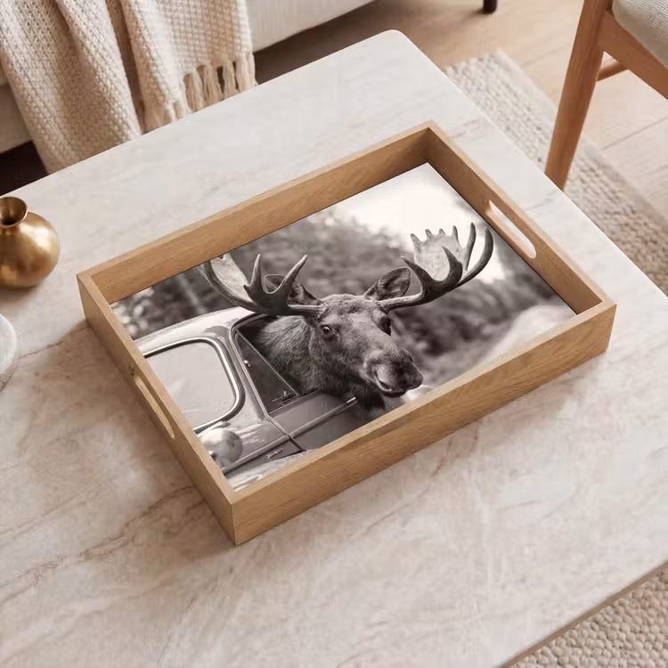 Dienblad - Eland - Auto - Gewei - Zwart - Wit — 2