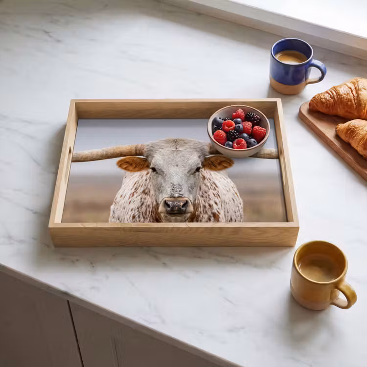 Dienblad - Longhorn - Grasveld - Dier — 3