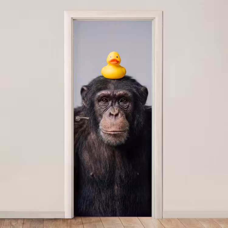 Deursticker - Chimpansee - Badeend - Grijs — 1