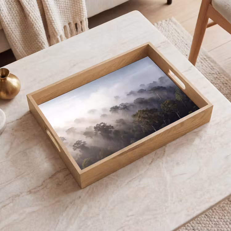 Dienblad - Bos - Mist - Natuur - Groen — 2