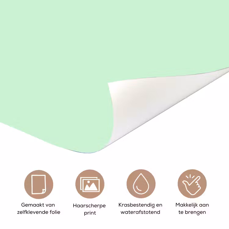 Deursticker - Pale - Mint - Groen — 3