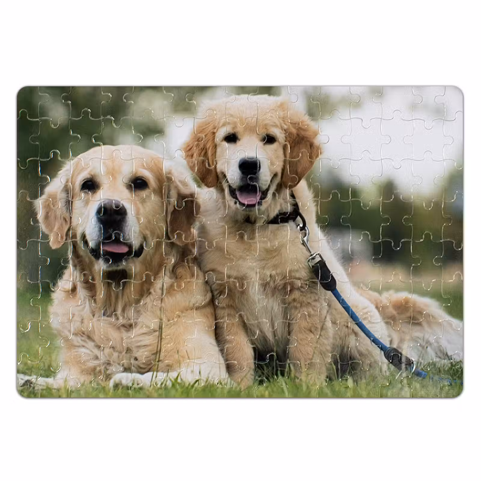 Fotopuzzel — 1