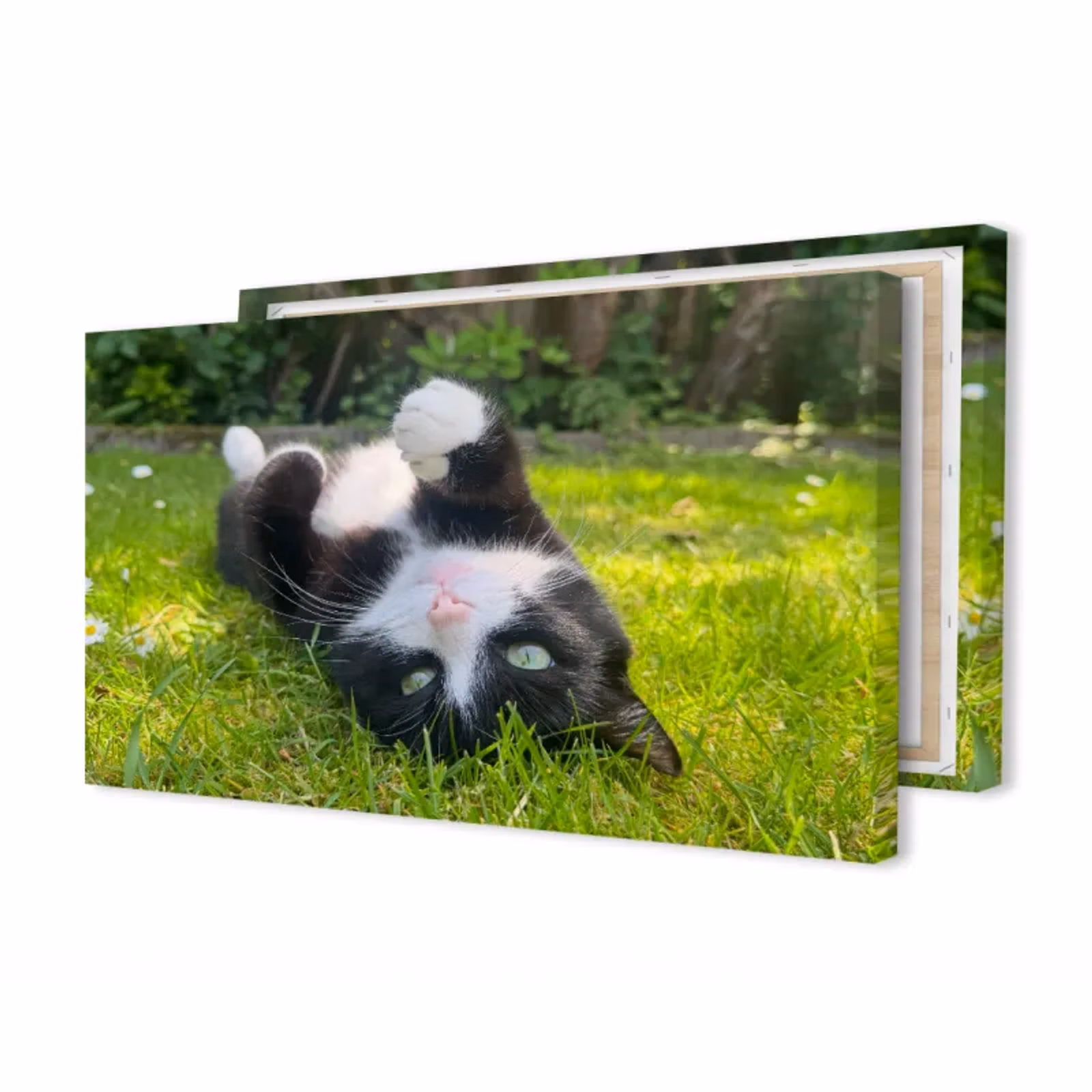 Foto op canvas panorama — 1