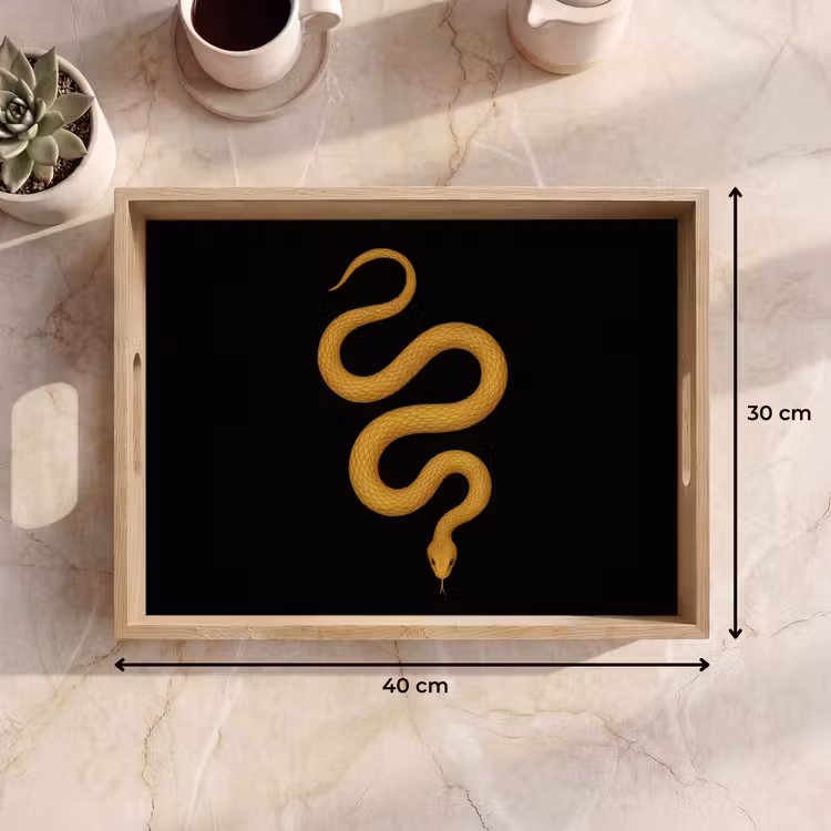 Dienblad - Slang - Minimalistisch - Goud — 7