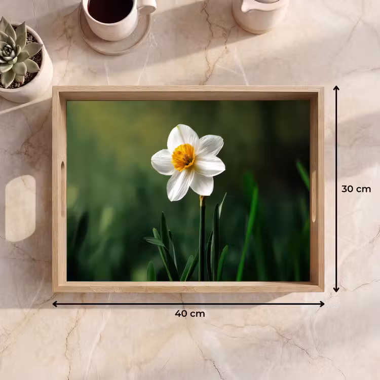 Dienblad - Narcis - Bloem - Wit - Grassprieten — 7