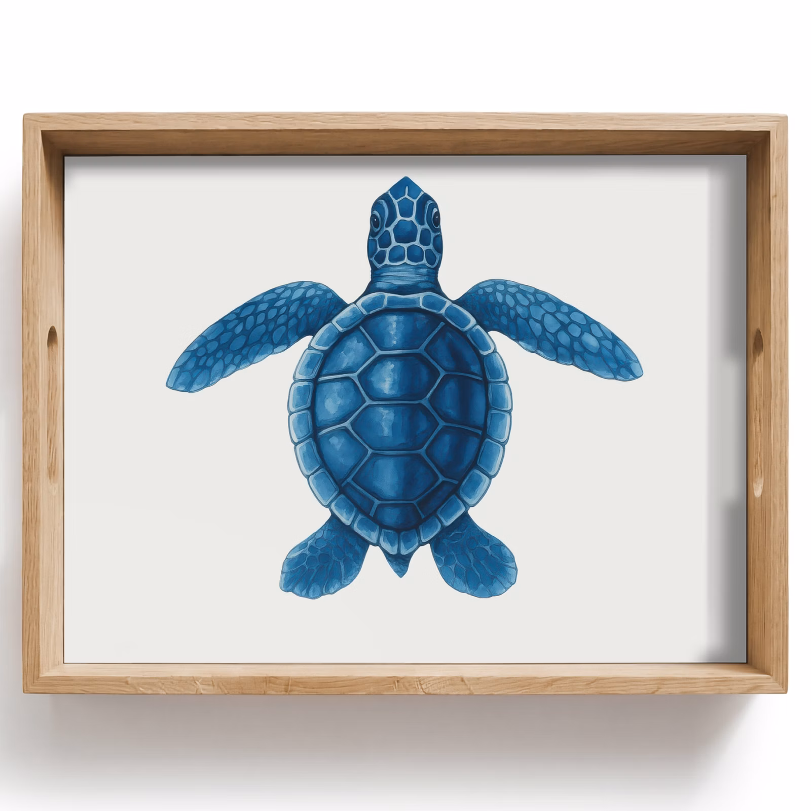 Dienblad - Schildpad - Blauw - Schild — 1