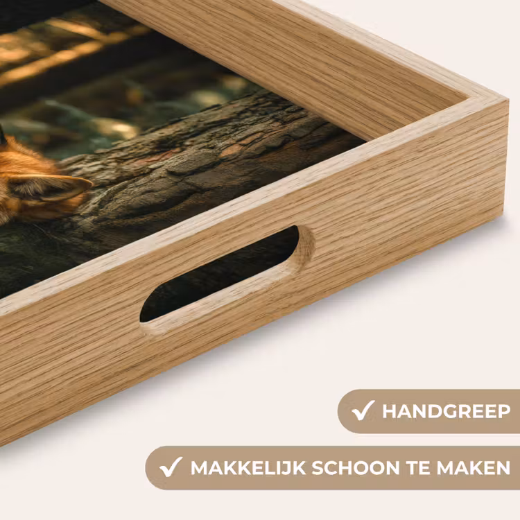 Dienblad - Vos - Bos - Slapen — 8