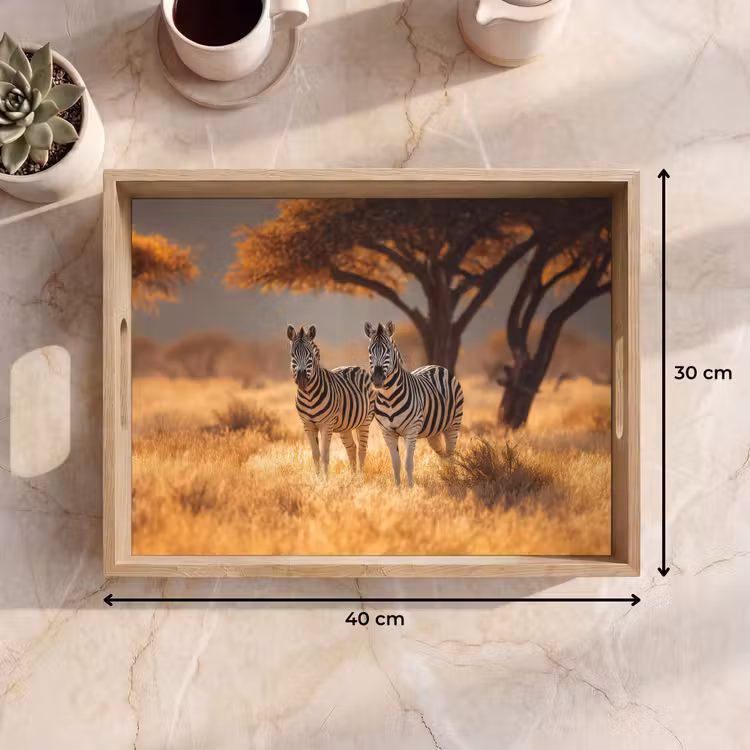 Dienblad - Zebra's - Savannelandschap - Gras — 7