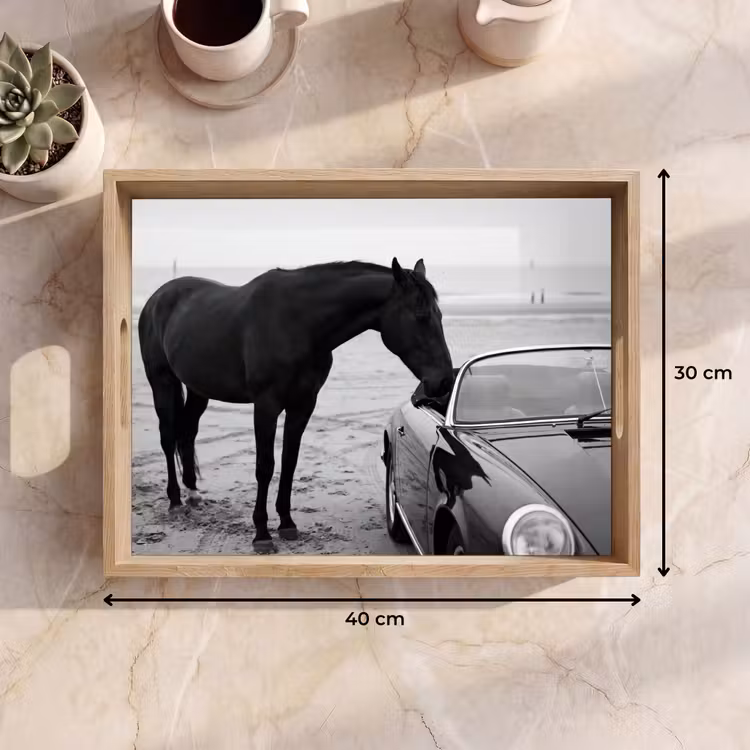Dienblad - Paard - Auto - Zwart - Wit — 7