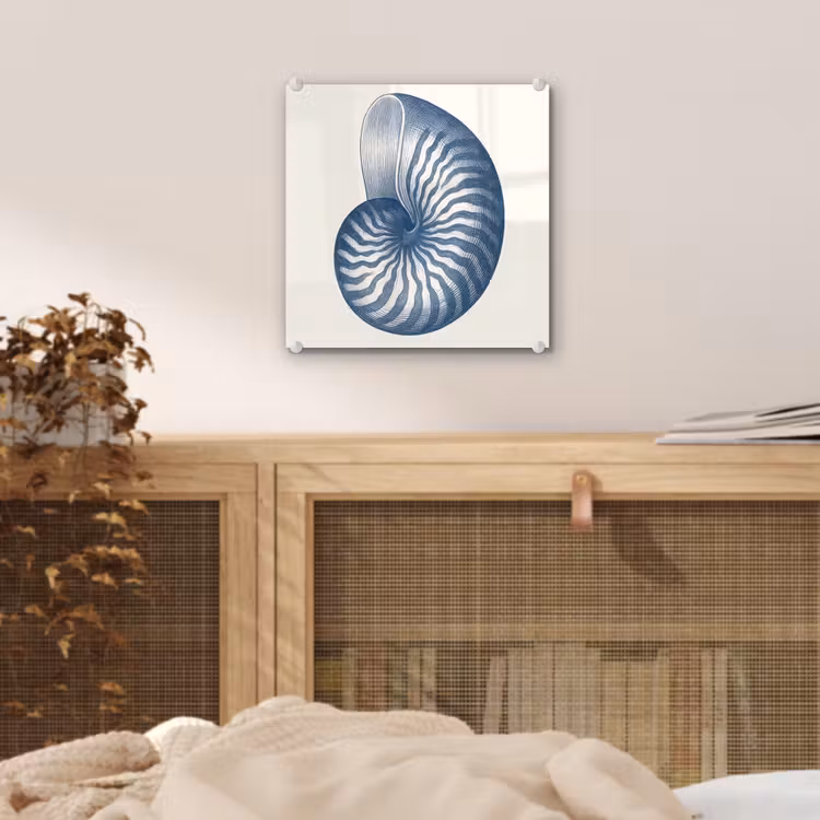 Glas schilderij - Blauw - Schelp - Spiraal — 5