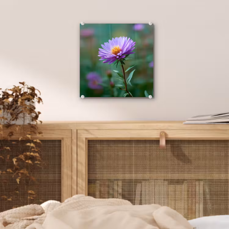Glas schilderij - Aster - Paars - Bloem - Blaadjes — 5