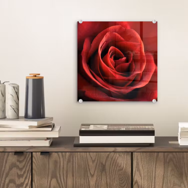Glas schilderij - Rood - Roos - Romantisch — 2