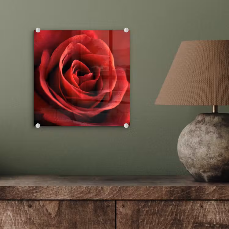 Glas schilderij - Rood - Roos - Romantisch — 4