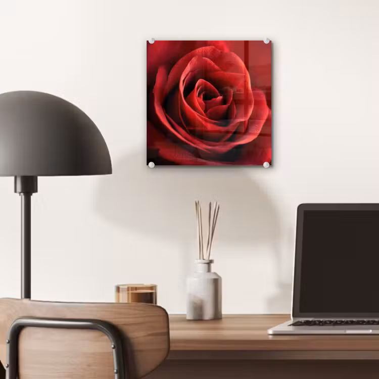 Glas schilderij - Rood - Roos - Romantisch — 7