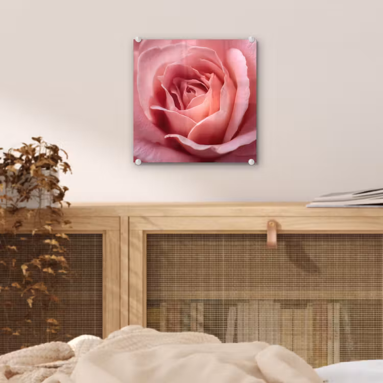 Glas schilderij - Roze - Roos - Romantisch — 5