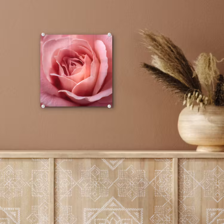 Glas schilderij - Roze - Roos - Romantisch — 6